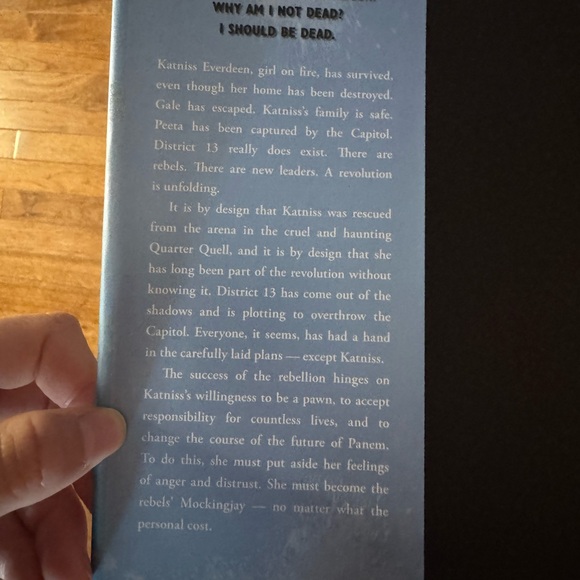 Mockingjay - Picture 2 of 2